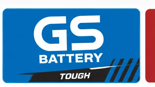 GS Battery